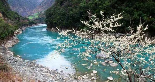大S与汪小菲事件再起风波,背后是一场精密布局的“情感杀猪盘”